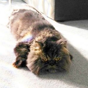 Meet your Posher, Mary